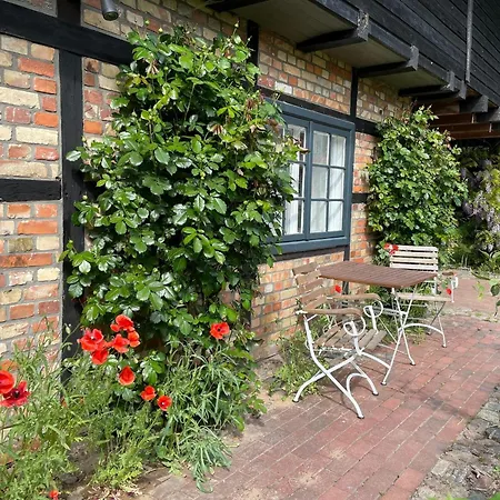 Serene In With Garden *