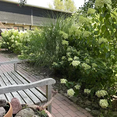 Serene In With Garden