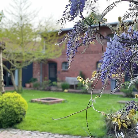 Serene In With Garden Saal