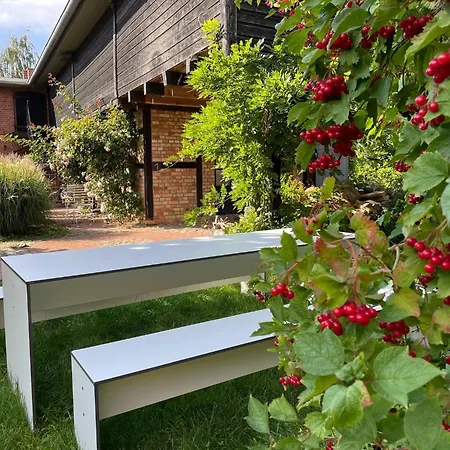 Serene In With Garden Saal